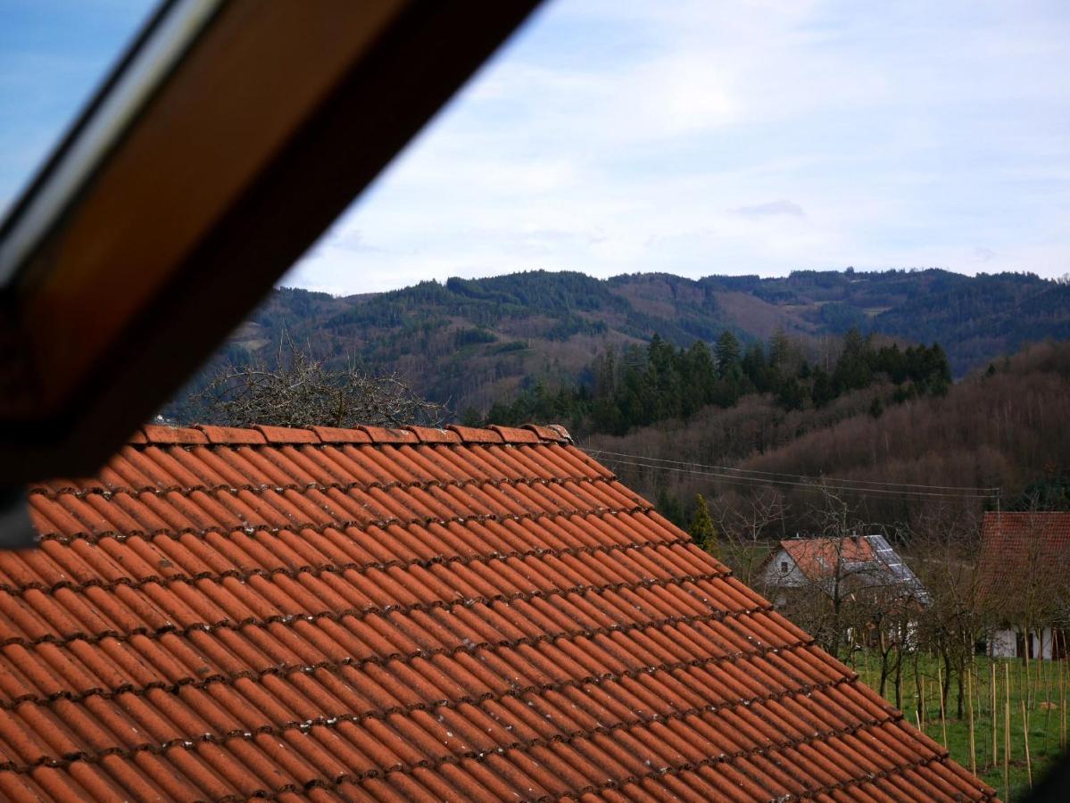 Ferienwohnung Obere Alm Oberkirch  Ngoại thất bức ảnh